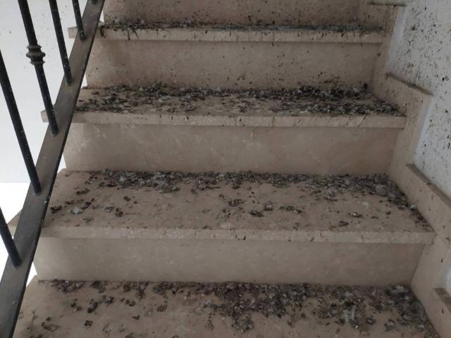Piso en venta en Sierra de Cádiz, Andalucía