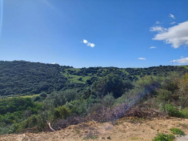 Piso en venta en Campo de Gibraltar, Andalucía