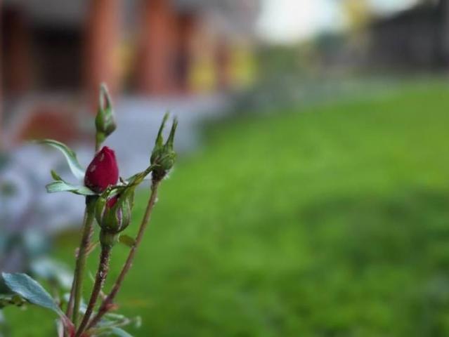 Piso en venta en San Sebastián De Los Reyes, Madrid