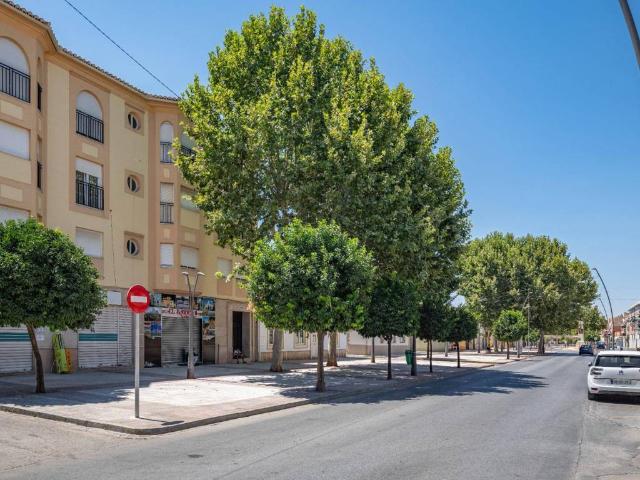 Piso en venta en Comarca de la Vega de Granada, Andalucía