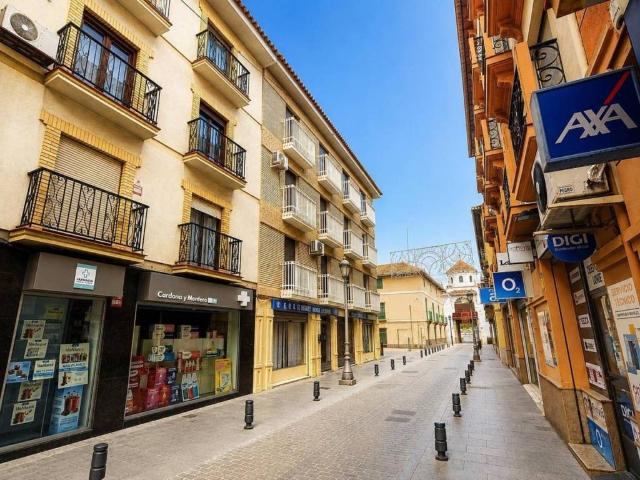 Piso en venta en Comarca de la Vega de Granada, Andalucía