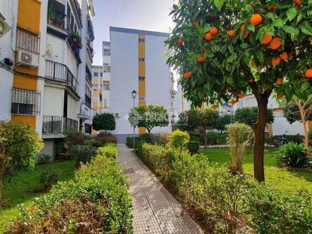 Piso en venta en Casco Antiguo, Sevilla