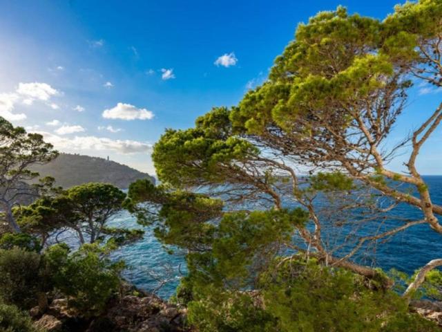Piso en venta en Serra de Tramuntana, Baleares