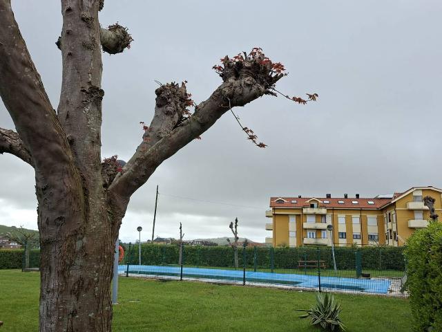 Piso en venta en Calle Quintana, Suances