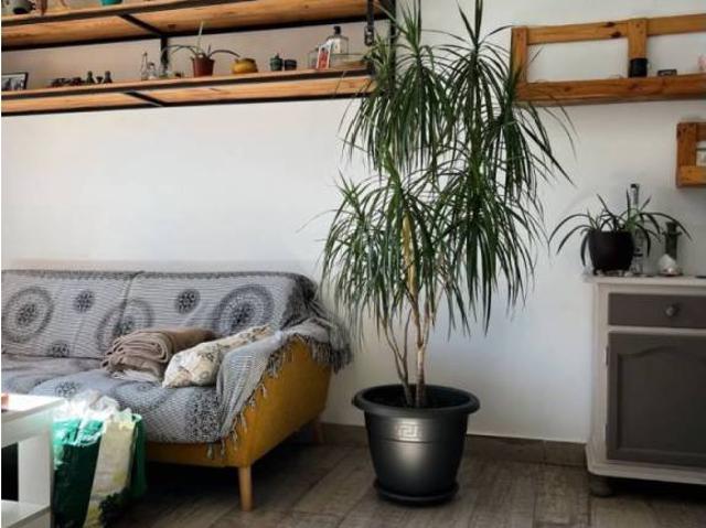 Piso en venta en Campo de Gibraltar, Andalucía