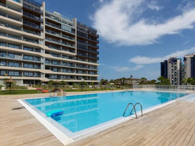 Piso en venta en Urbanización Punta Prima, el Baix Segura / La Vega Baja