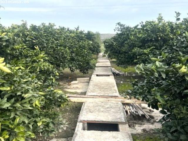 Piso en venta en la Torre d'en Lloris, la Costera