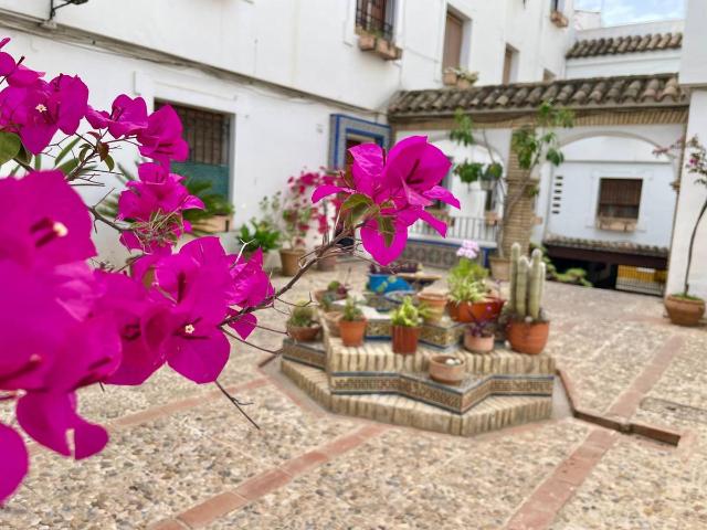 Piso en venta en Distrito Centro, Córdoba