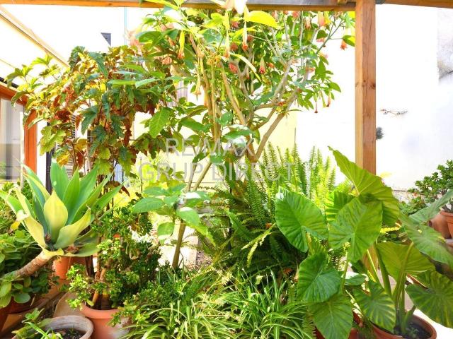 Piso en venta en Pla de Mallorca, Baleares