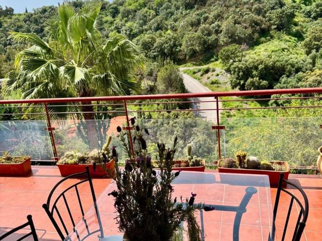 Dúplex en alquiler en Forest Hills, Estepona