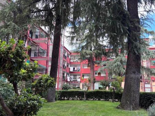 Apartamento en alquiler en Ciudad Lineal, Madrid