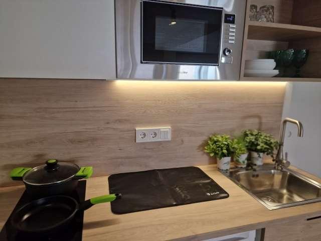 Estudio en alquiler en Sant Vicent del Raspeig / San Vicente del Raspeig, l'Alacantí