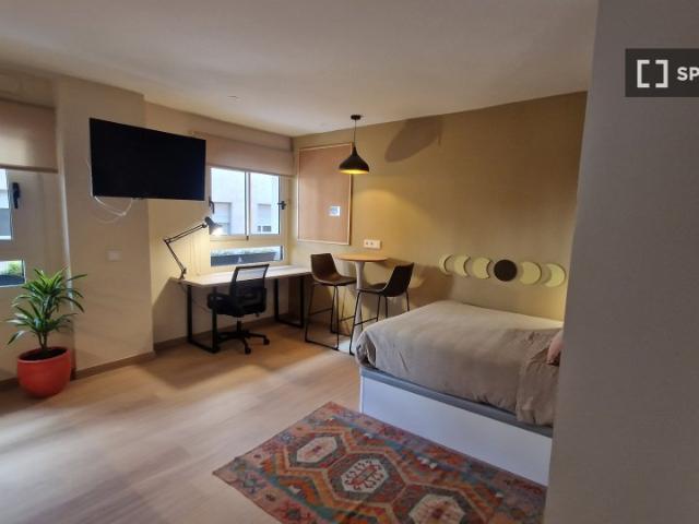 Estudio en alquiler en Alicante, la Borinquen