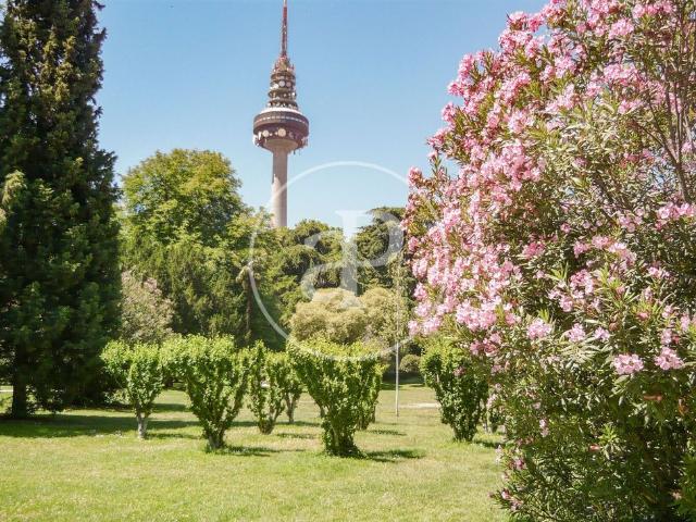 Piso en venta en Ciudad Lineal, Madrid