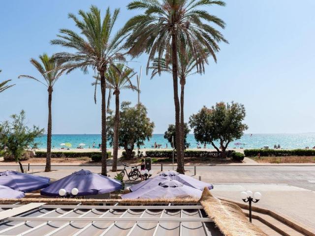 Piso en alquiler en Palma