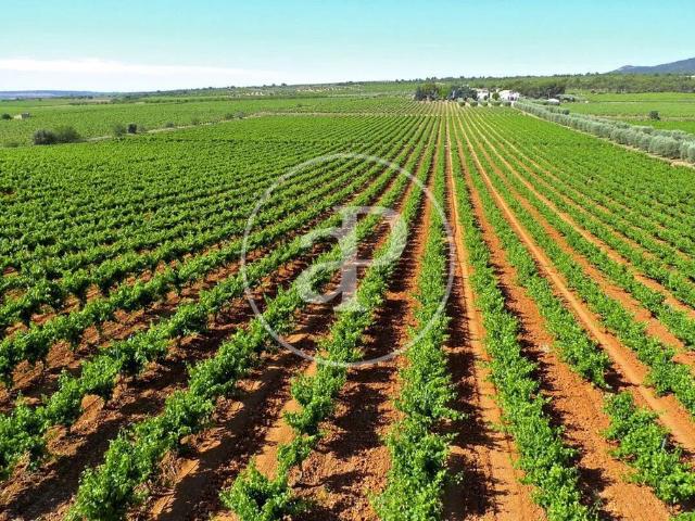 Piso en venta en El Arrabal, La Plana de Utiel-Requena