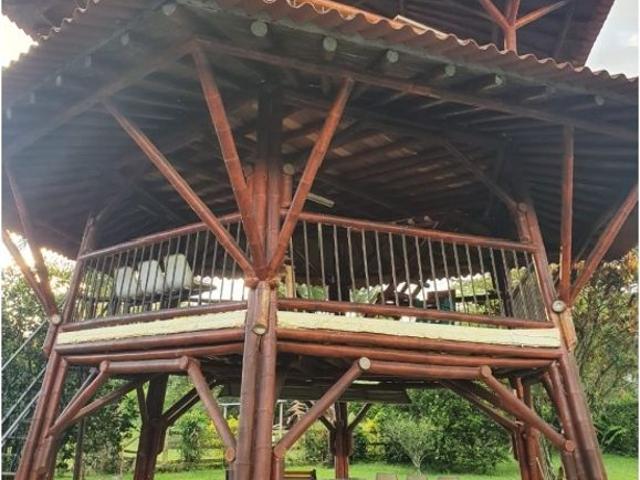 Piso exclusivo en alquiler en La Tebaida, Quindío Department