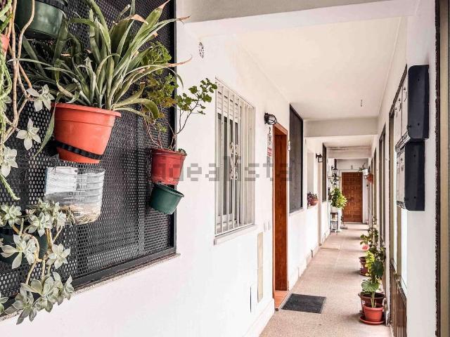 Dúplex en venta en Palma