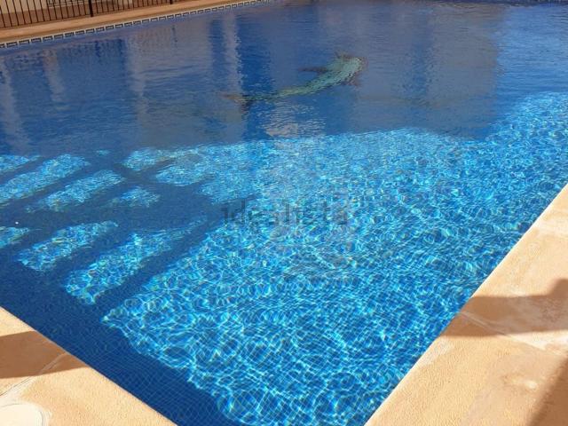 Piso en venta en el Baix Segura / La Vega Baja, Valencia