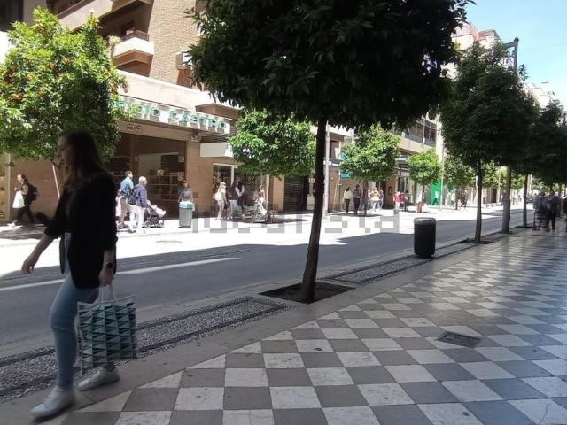 Ático en alquiler en Centro, Granada