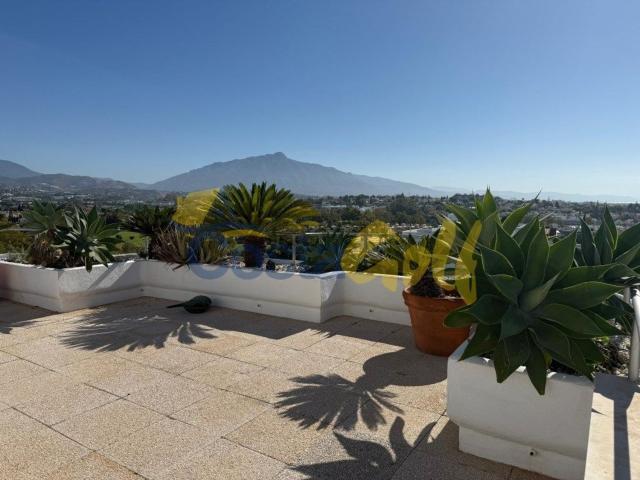Piso en alquiler en Guadalmina, Costa del Sol Occidental