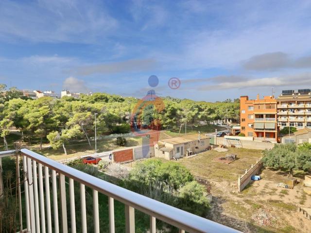 Piso en venta en el Baix Segura / La Vega Baja, Valencia