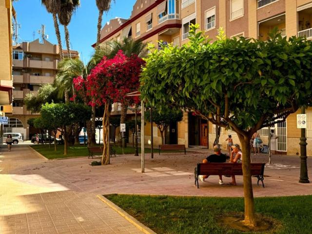 Ático en venta en el Baix Segura / La Vega Baja, Valencia