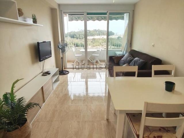 Piso en alquiler en Lomas de Polo-Pinomar, el Baix Segura / La Vega Baja