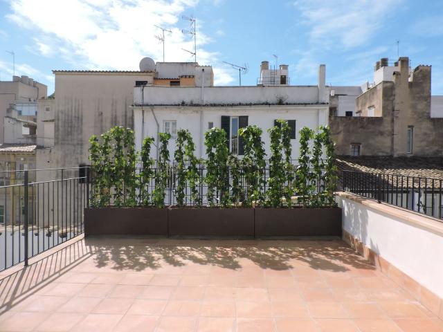 Ático en alquiler en Canavall, Palma