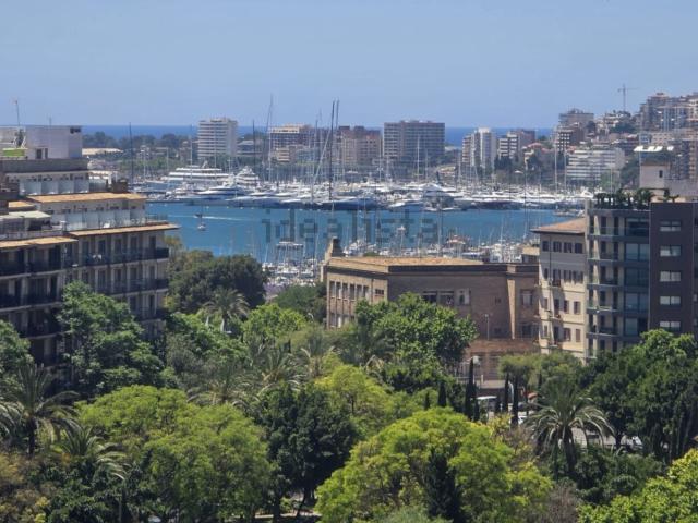 Piso en alquiler en Canavall, Palma