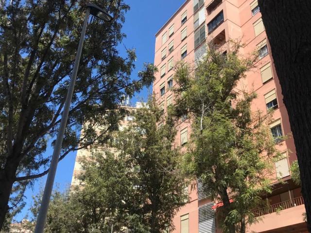 Piso en alquiler en Salud-La Salle, Santa Cruz de Tenerife