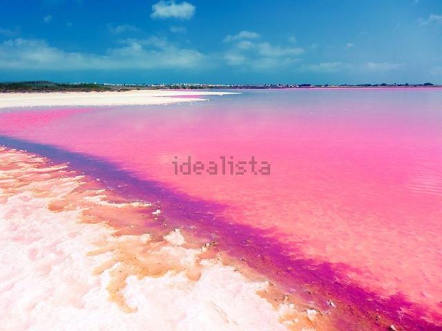 Piso en venta en Torrevieja, Valencia