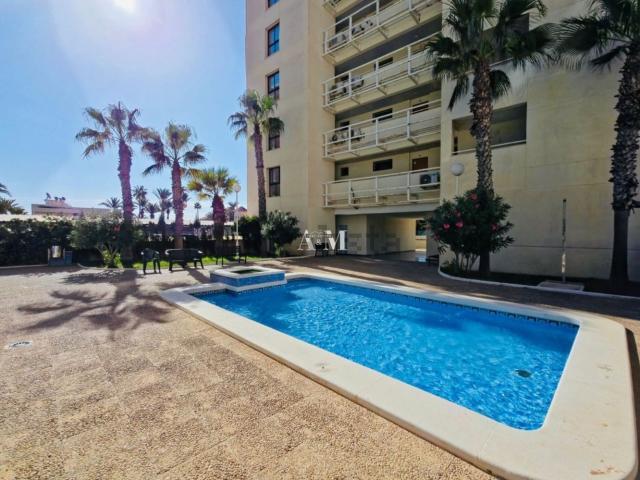 Piso en alquiler en Urbanización Punta Prima, el Baix Segura / La Vega Baja