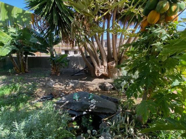 Ático en alquiler en Bajos y Tagoro, Canarias