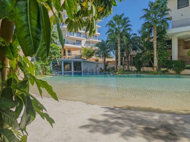 Dúplex en alquiler en Urbanització El Torres, la Marina Baixa