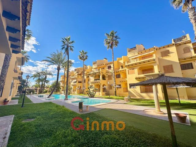 Ático en alquiler en La Mata, el Baix Segura / La Vega Baja