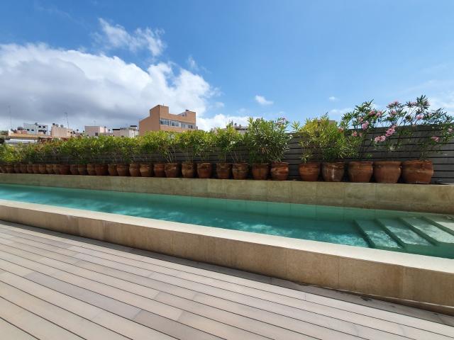 Piso en alquiler en Palma