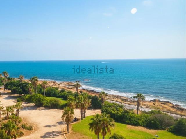 Ático en alquiler en Cabo Cervera-Playa la Mata, Torrevieja