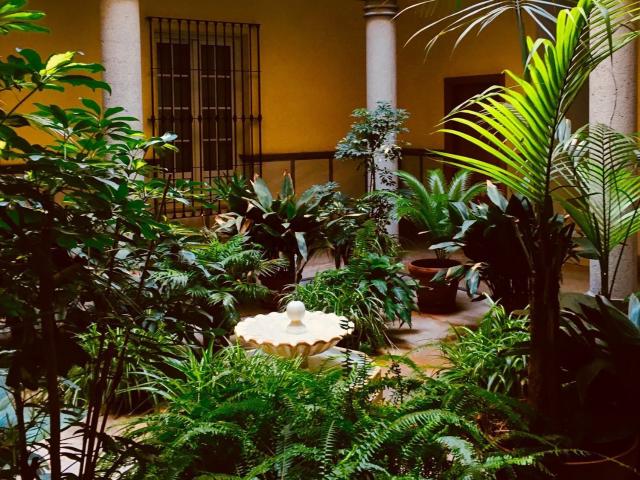 Ático en alquiler en Centro, Granada