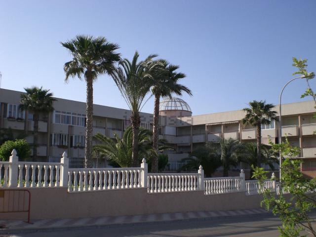 Piso en alquiler en Mil Palmeras, el Baix Segura / La Vega Baja