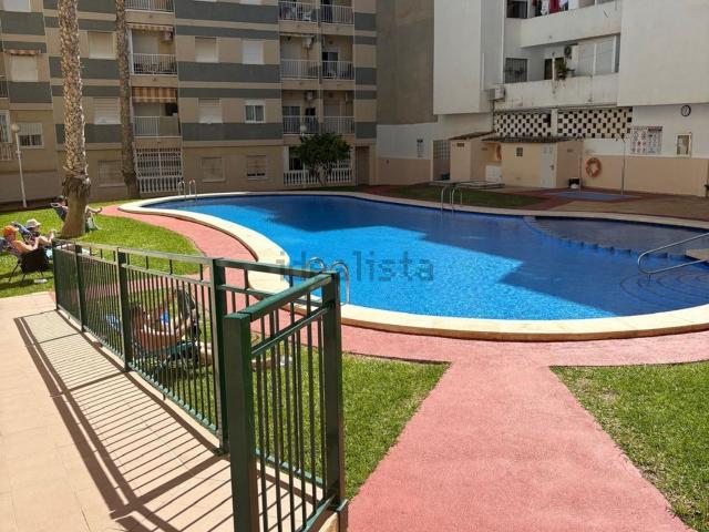 Piso en alquiler en El Palmeral, el Baix Segura / La Vega Baja