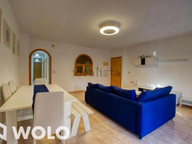 Piso en alquiler en El Palmeral, el Baix Segura / La Vega Baja