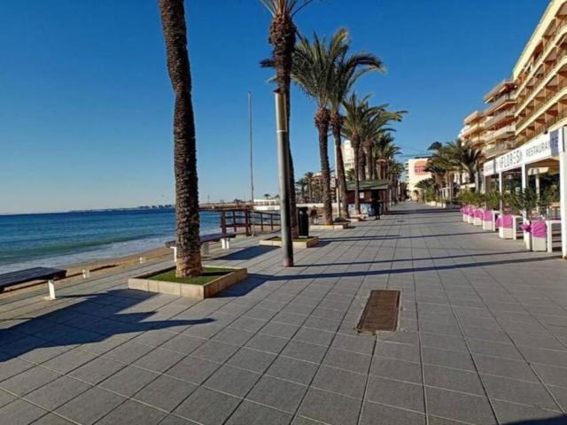 Piso en alquiler en el Baix Segura / La Vega Baja, Valencia