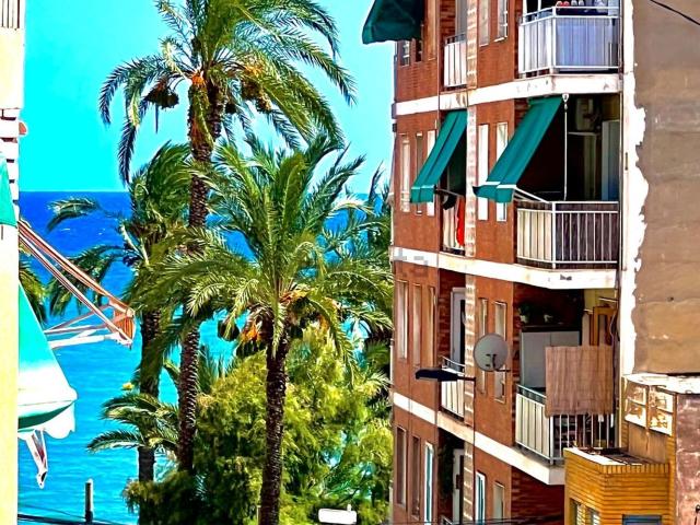 Piso en alquiler en El Palmeral, Torrevieja