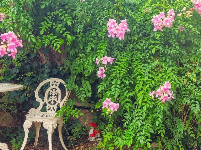 Piso en alquiler en Premià De Mar, Barcelona