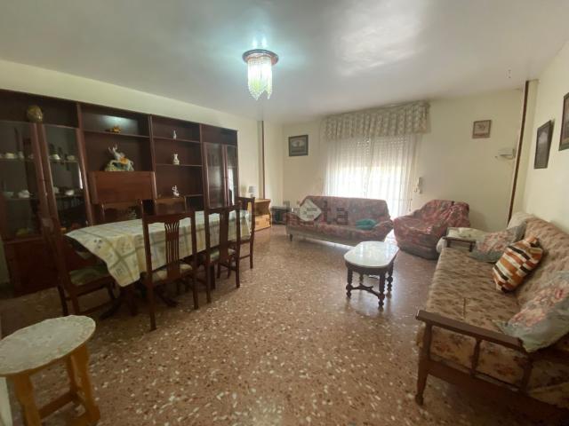 Piso en alquiler en Centro, Sant Vicent del Raspeig / San Vicente del Raspeig