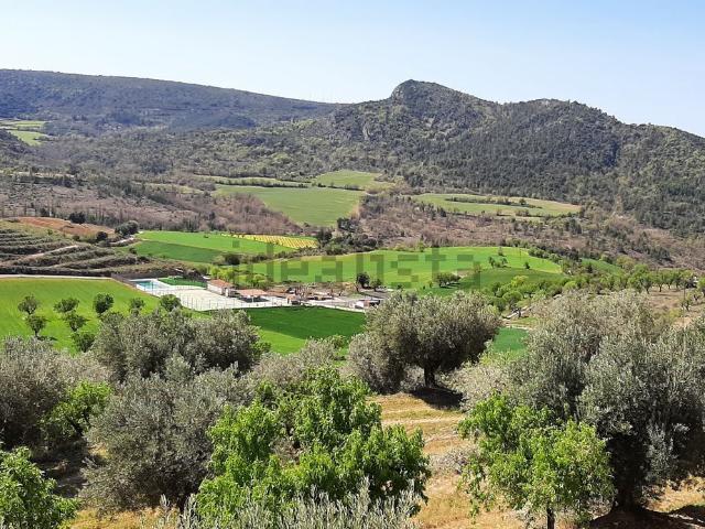 Piso en alquiler en Veracruz, Aragón