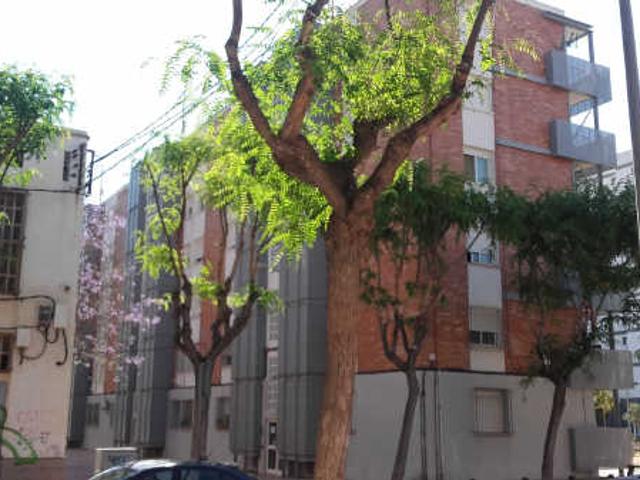 Piso en venta en San Vicente Del Raspeig