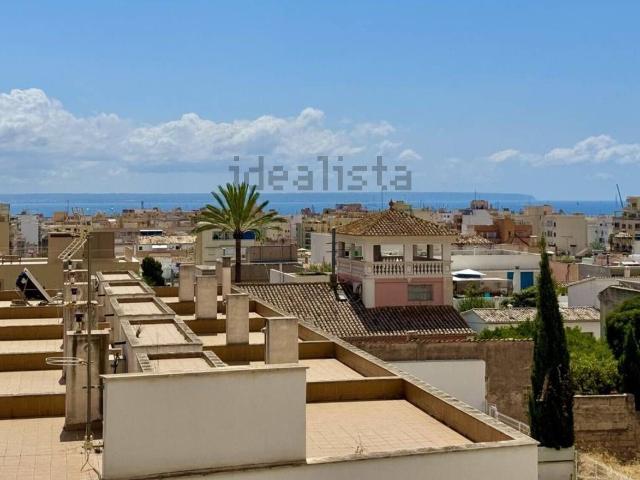 Piso en alquiler en Palma, Son Espanyolet
