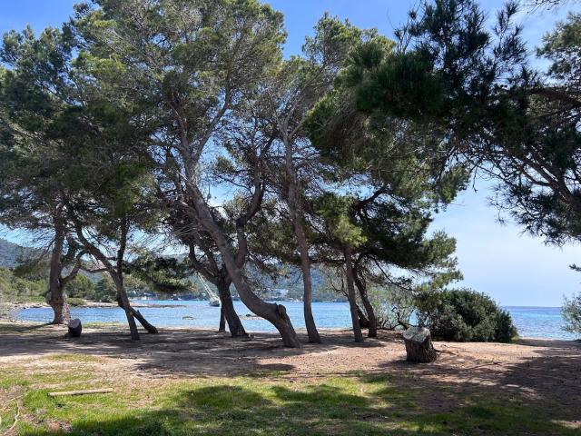 Piso en venta en Port Vell, Llevant